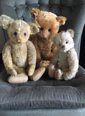 Bev Rothwell. Antique Bear Collector