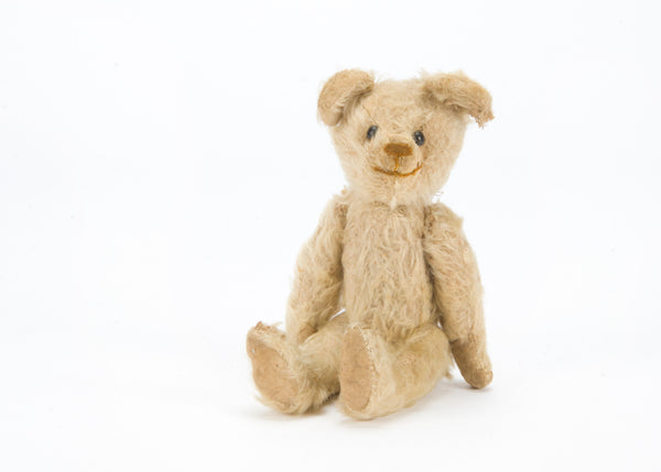 Bear/Animal. How to clean fine plush teddy bears and animals